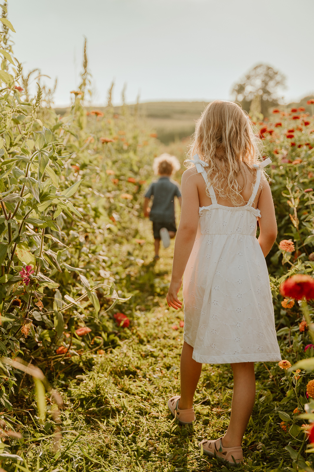 Flower Farm Mini Sessions photo 2