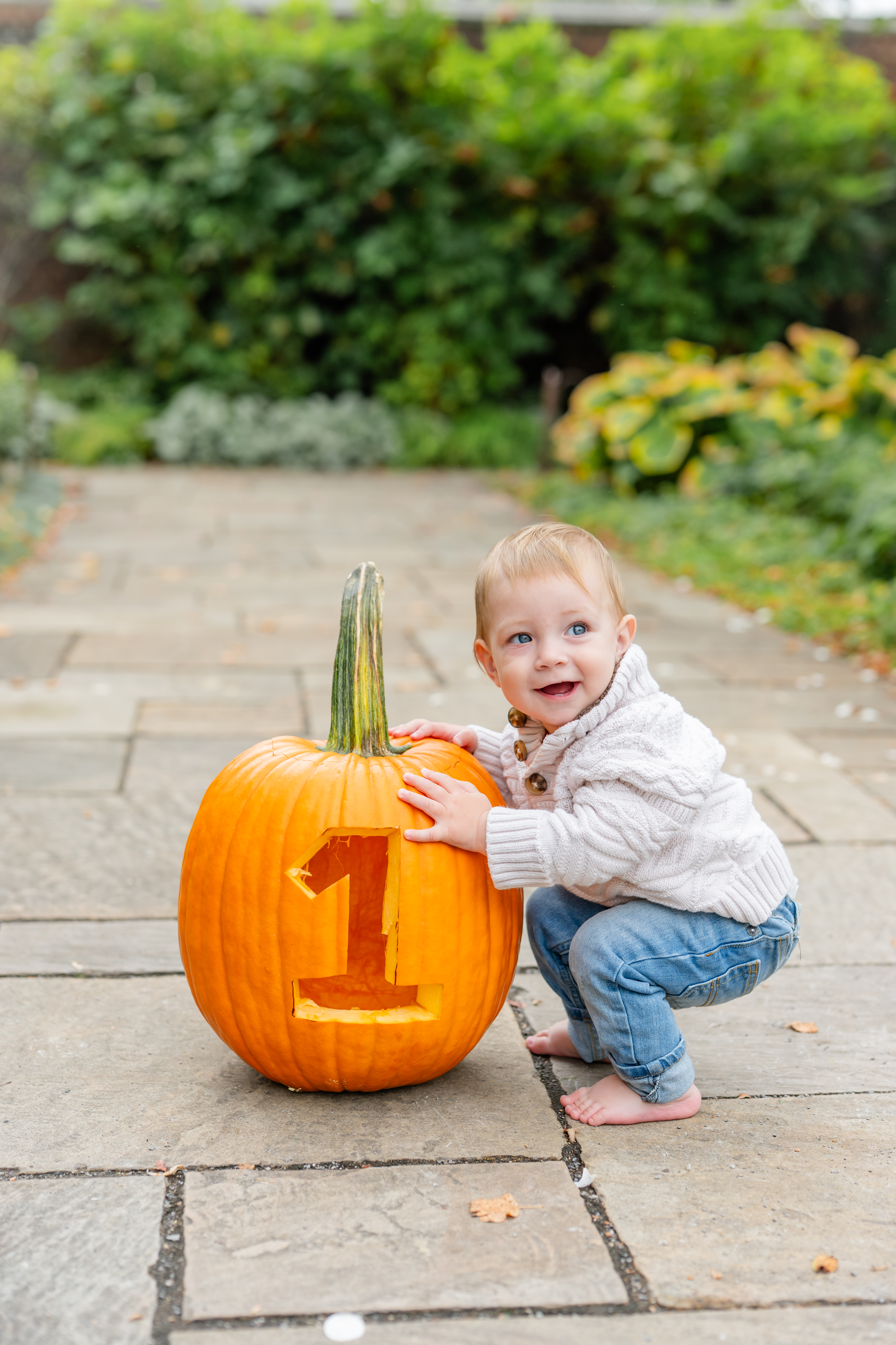 Fall Mini Sessions photo 6