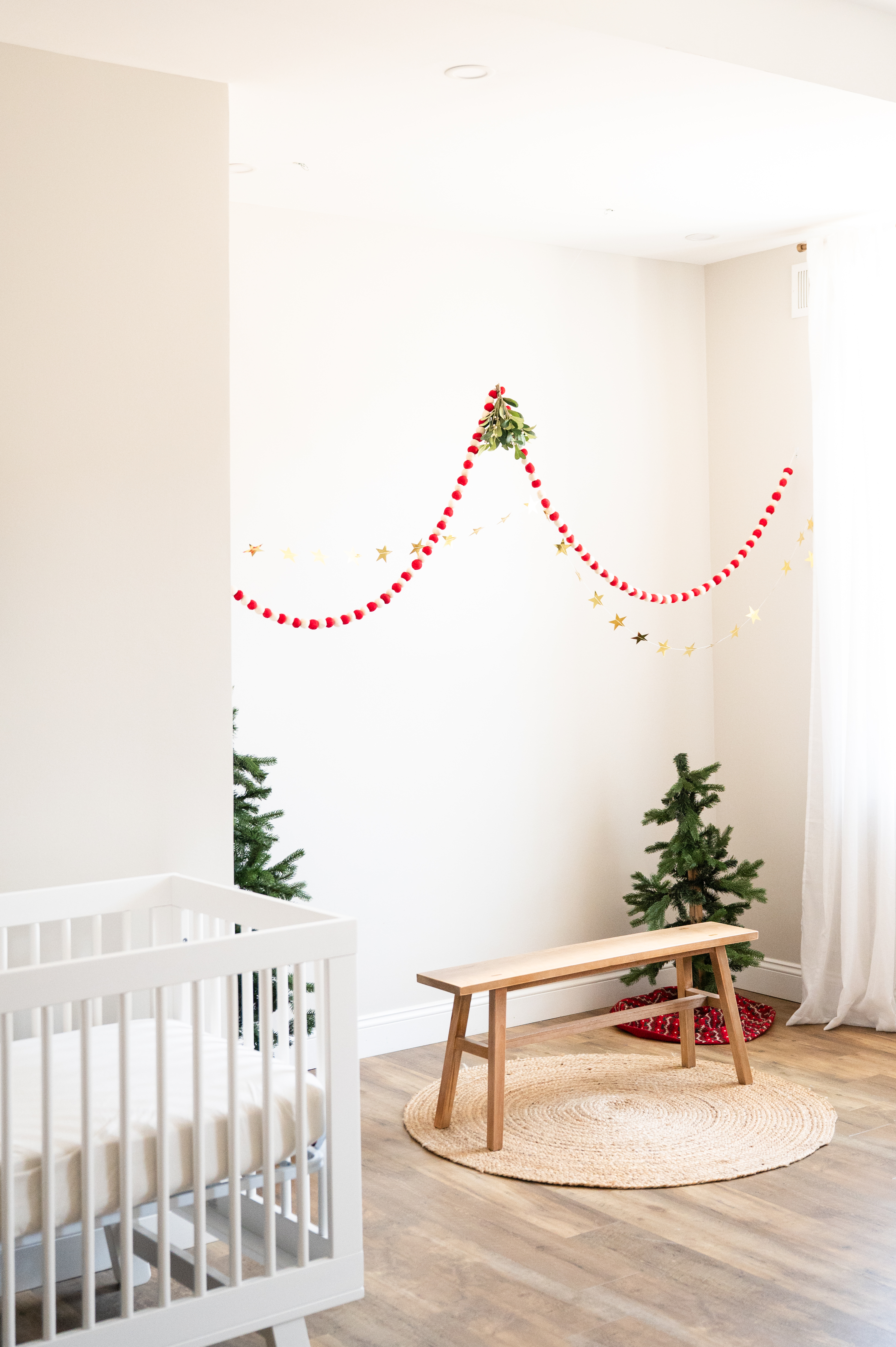 2026 Holiday Mini Sessions photo 4